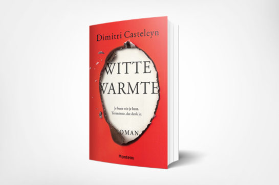 boek-witte-warmte-Dimitri-Casteleyn-Het-Feest
